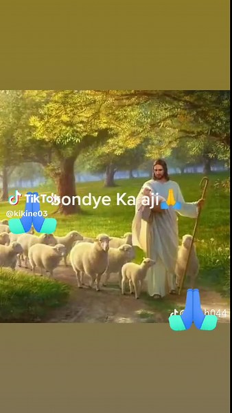 Vidéos de kikine03 (@kikine03) avec original sound - Bibine