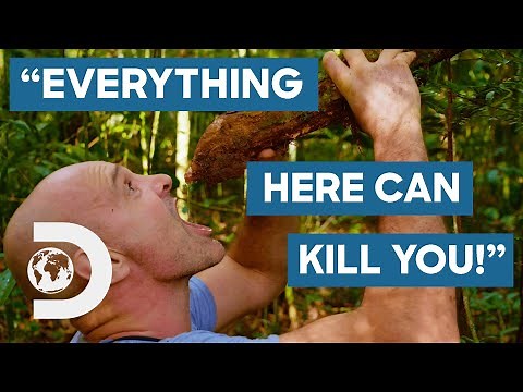 Facing The World's Deadliest Creatures In The Amazon Rainforest | Ed Stafford: First Man Out
