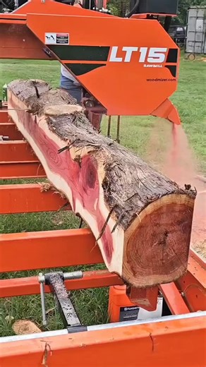 Joshua Robbins on Instagram: "Sawmill Cutting a 30-Year-Old Cedar to Build a Hope Chest. Wood-Mizer LT15 in Action #sawmillbusiness #sawmill #sawyer #cookssawmill #woodmizer #firewaterfarmsawmill #woody #bandsawmill #portablesawmill #redcedar #sawmilling #redcedar #cedartree #cedartrees #cedarwood #cedarslab #farm #manglitter #red #bandsawmill #latecut #thick #sawmilling #turbo7 #turboblade #blades #sawblades"