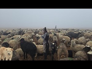 Men vs Nature ⚠️ Trapped in Deadly Rain & Fog | Nomadic Winter Survival