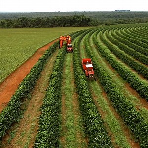 Brazilian farmers’ approach to digital: Embracing digital