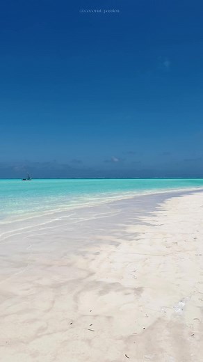Exploring the Beauty of Jambiani Beach in Zanzibar 2022