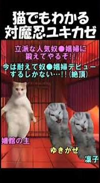 猫でも分かる対魔忍ユキカゼのストーリー #shorts #猫ミーム #対魔忍ユキカゼ