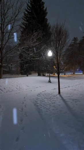 Evan Lambrecht on Instagram: "Winter walk . . . . . #snow #night #calm #naturephotography #aesthetic #reels #dreamcore #aesthetically #winter #night #bluehour #dark #reels #nature #relax"