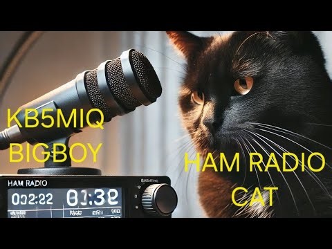 TIPS FOR NEW HAMS PURCHASING RADIOS FROM EBAY FROM FORIEGN SELLERS AND TIPS ON POWER OVERSEAS.