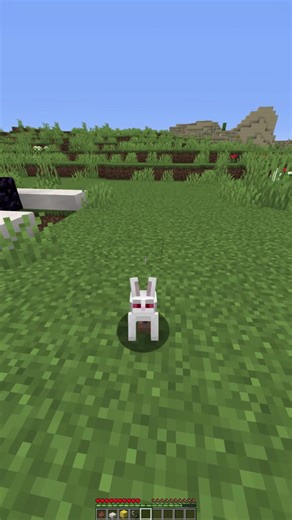 Invocation Killer Bunny ! #minecraft