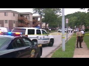 The unknowns of the Michael Brown case