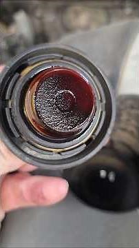 Buying A Used Car? Check If It's Been Maintained!!