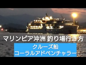 徳島マリンピア沖洲の釣り場行き方、クルーズ船コーラル アドベンチャラー初寄港