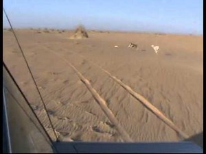 مقناص ابوشكر وابووائل الرملة 1431