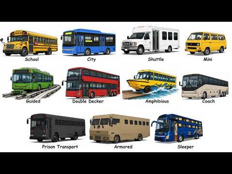 Every Bus Type Explained