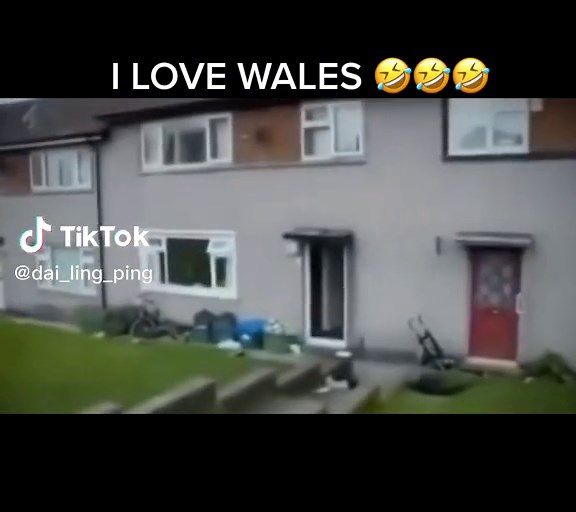 TikTok - Make Your Day