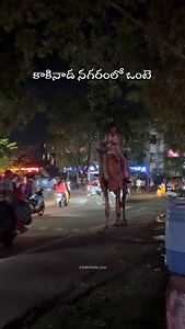 Kashmir Exhibition effect anukunta.. Follow @kakinada_live #Kakinadalive #kakinada #kakinadasmartcity #camel #exhibiton #zoo | Kakinada live