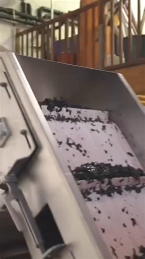 1.1K reactions · 31 shares | Follow all the news about PERA PELLENC  | Pellenc | Facebook