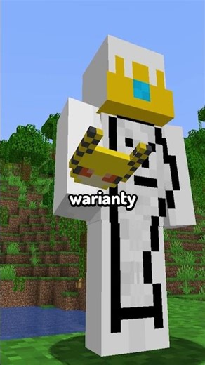 ROBOT FRIEND IN MINECRAFT