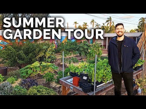 My Garden is EXPLODING With Growth! | Summer 2022 Garden Tour