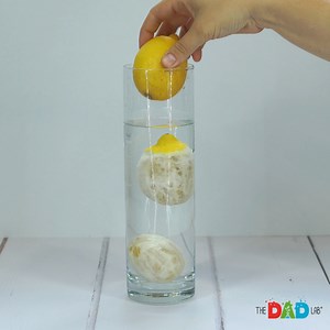 We continue our density exploration. Here is where sink or float activity turns into a science experiment! Grab a lemon and check if it sinks or not. Peel it and test if it makes a difference! #TheDadLab #scienceexperiment #homeschooling #dadlife | TheDadLab