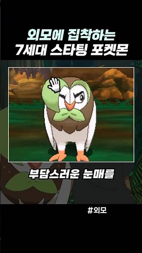 외모에 집착하는 7세대 스타팅 포켓몬