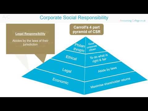 Corporate Social Responsibility - ACCA P1- Revision Theory