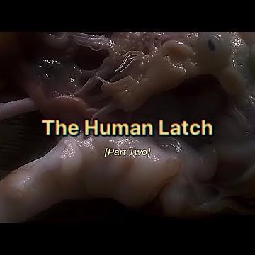 The Human Latch: Part Two