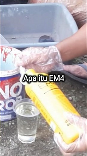 What is EM4 Agriculture? #penagarden #mediatanamku