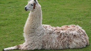 Tempest 4000 is real, Jeff Minter is developing it and Atari is publishing it