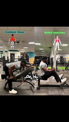 Seated cable rows vs Dumbbell rows( big difference)
