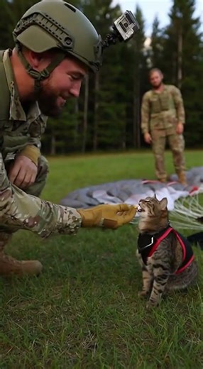 Cat Parashooting Out of Plane With Soldiers! 😹❤