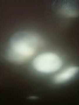 Sunday September 18, 2022 of Bunnytown Hello Bunnies! trailer in high pitched in slow motion 1.5x