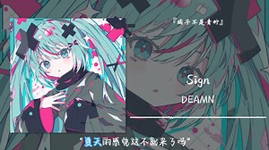 1hour循环||“夏天的感觉这不就来了吗”||《Sign》