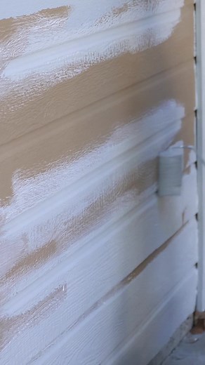 Paint life supply co on TikTok