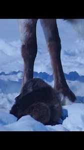 Animal Planet Life on Instagram