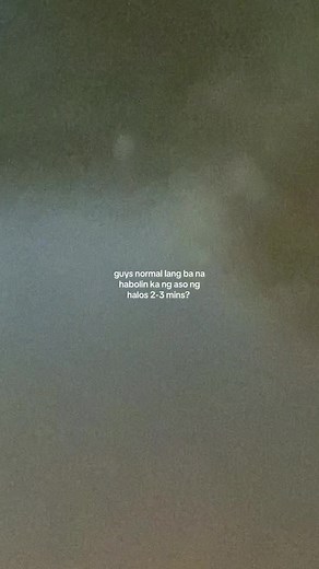 Nagbabalik na Takot: Aso sa Paskong Drive