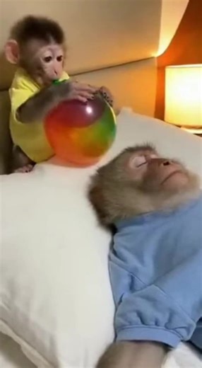 Exploring Carelessness in Daily Choices