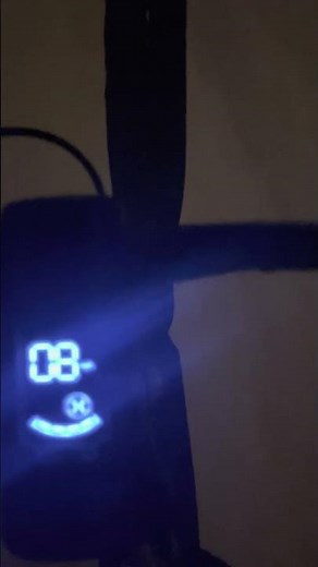 Bird Scooter making screeching noise