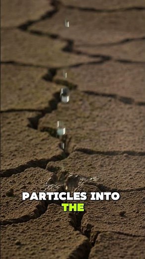Why Rain Smells So Good When It Falls 🌧️ The Science of Petrichor