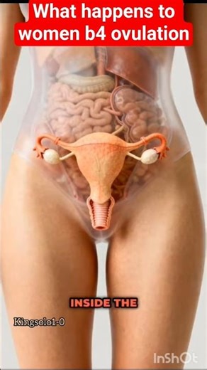 What really happens during ovulation #goviral #remix #humanbody #humanreproductivesystem