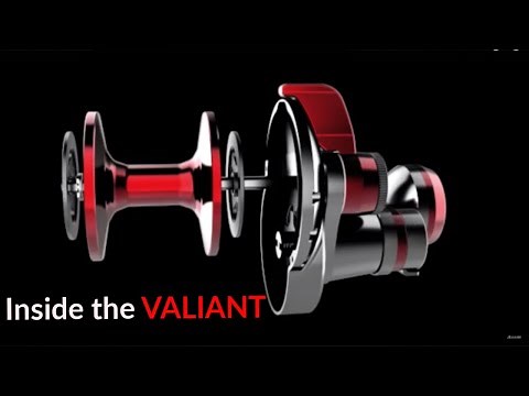 What's Inside the Accurate Valiant Fishing Reel | ACCURATE FISHING
