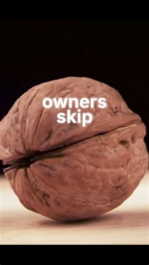 an indepth look at the Audi 4.0t engine: is it really a reliability concern? #leesautolife