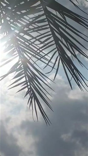 viral girl dipa#youtube shorts# shorts#trending#dipa shorts🥰🌦