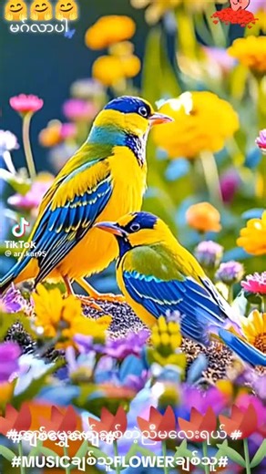 original sound - Koko Lyo ပါဝင်သည့် Koko Lyo (@koko.lyo69) ၏ ဗီဒီယိုများ