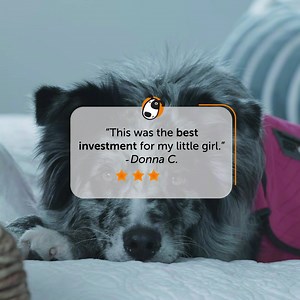 Your dog is absolutely the goodest sweetie pie. We all know it. But are there moments when they get anxious and won't stop barking at everything? Whether your dog gets: 💔 Separation 🧨 Startled by loud noises 💉 Upset during vet visits ThunderShirt® may be able to help calm your furry companion when it's most stressed. | ThunderWorks