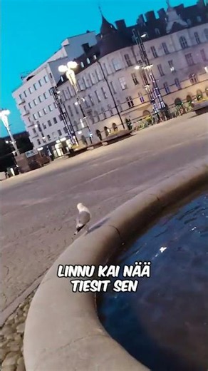 Linnu 🐦 vähän myöhässä MM-Kulta 🥇 🏆 🏒 juhlista! 😀 😂