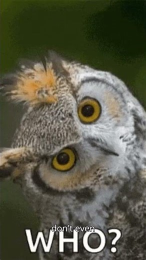 Block Party #block #common #fun #neighborhood #unity #party #friendly