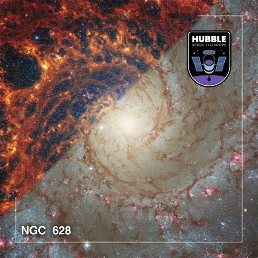 Two Views of NGC 628 — Hubble and James Webb Space Telescopes