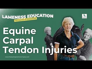 Equine Carpal Tendon Injuries: How to Diagnose Extensor Carpi Radialis Pathology