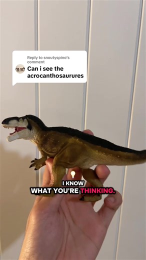 Replying to @snoutyspino Here is my Acrocanthosaurus!! #acrocanthosaurus #dinotok #dinosaurs #toycollectors #dinosaurfigure