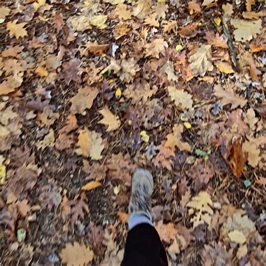 Tamara Stockmans on Reels