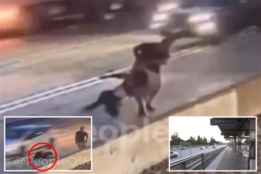 Shocking video shows brute trying to drag woman into traffic in random attack at LA train station