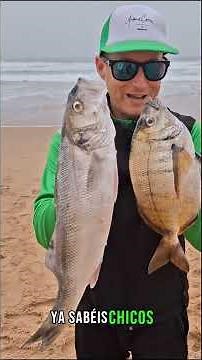 🌊 The perfect conditions for success in beach surfcasting 🎣✔️